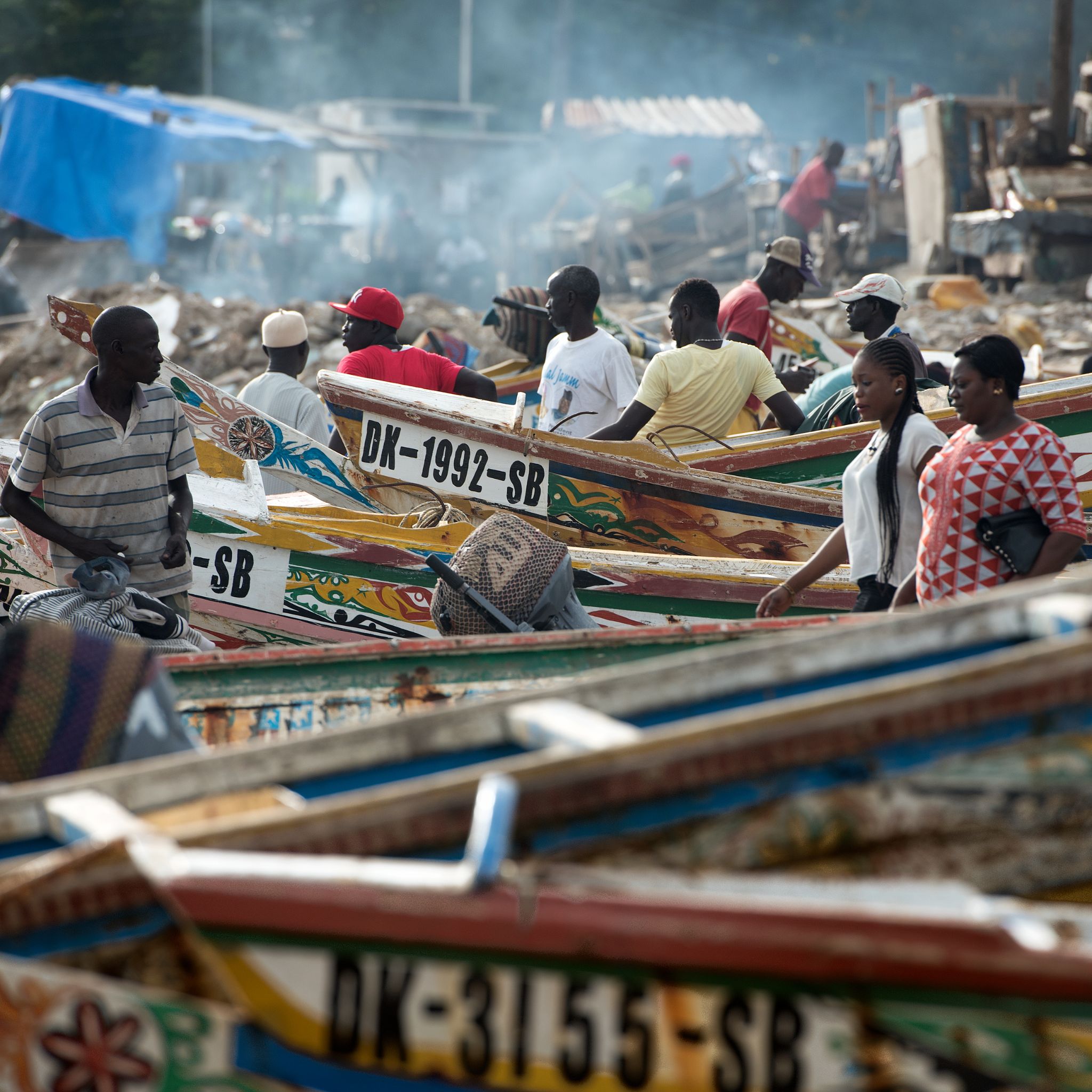 031M150819SEN Fish0734