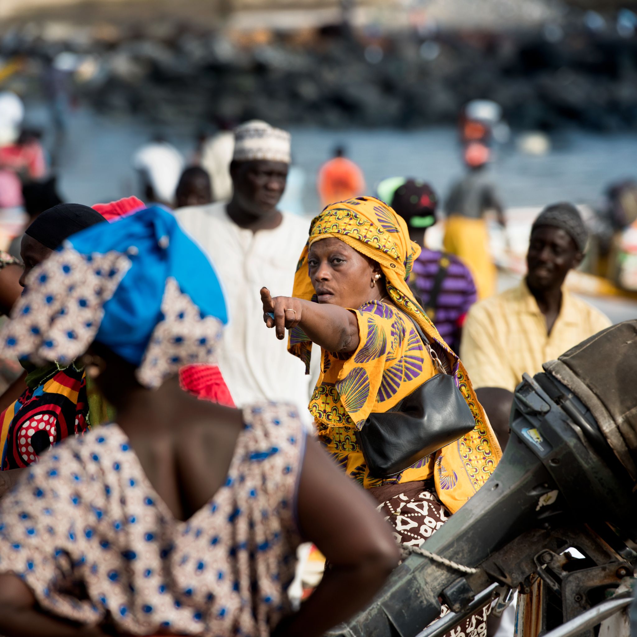 038M150819SEN FISH0665