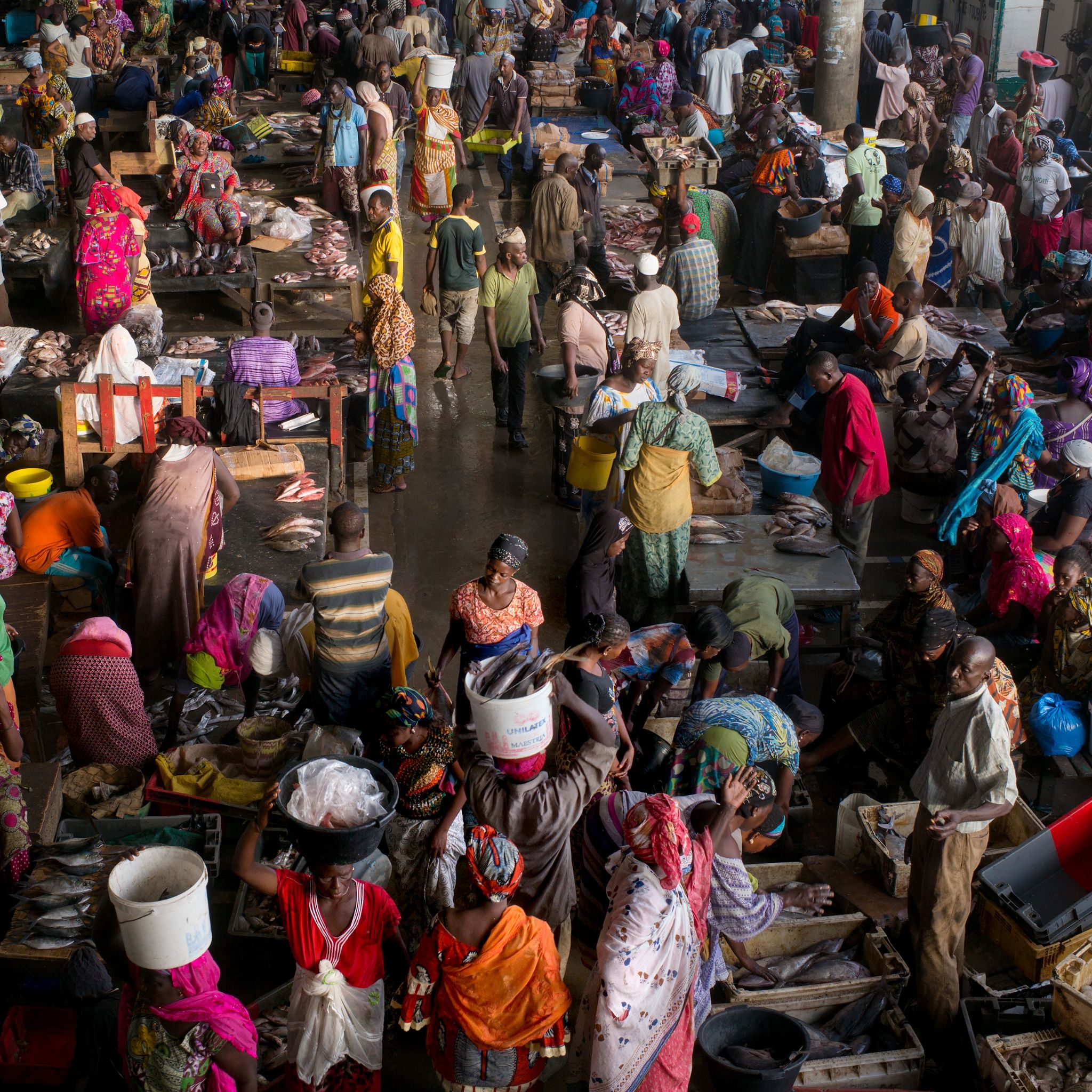 M150821SEN_Fishmarket1001727