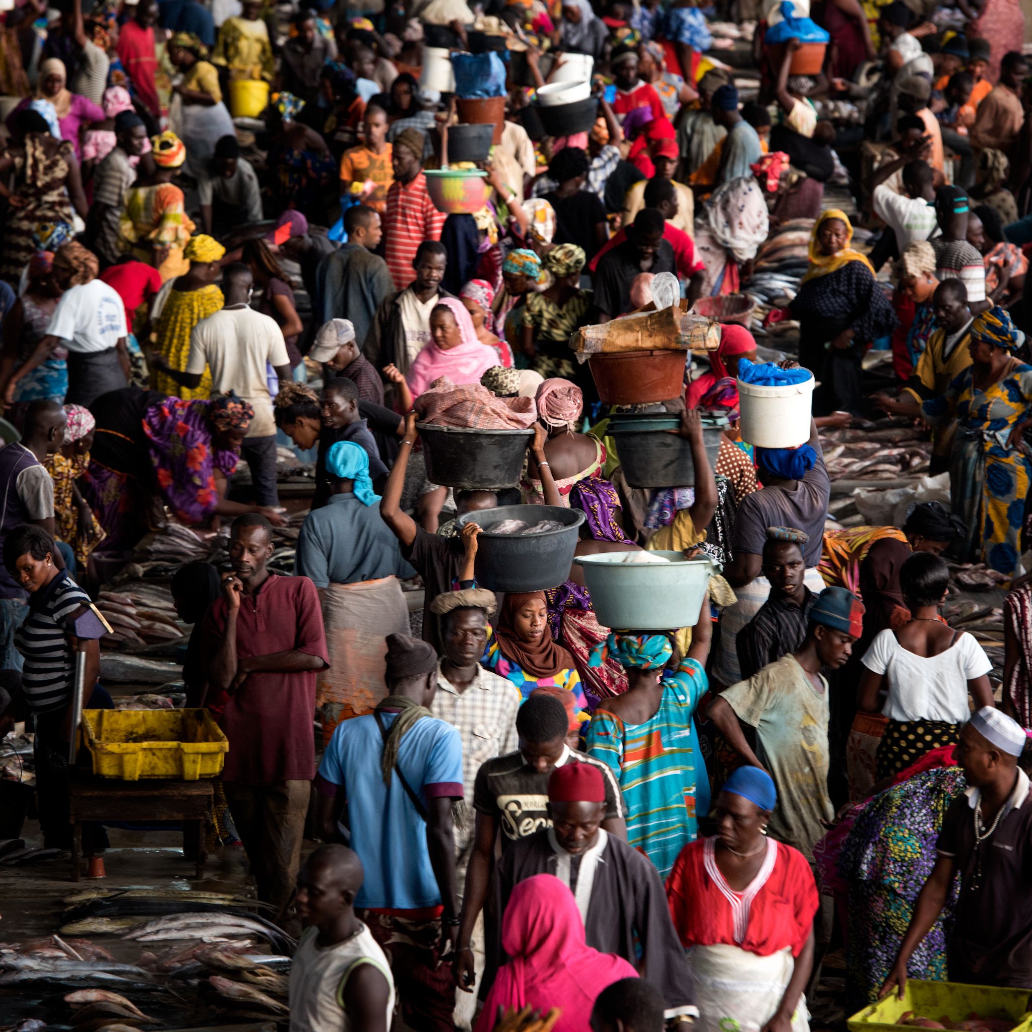 M150821SEN_Fishmarket3197