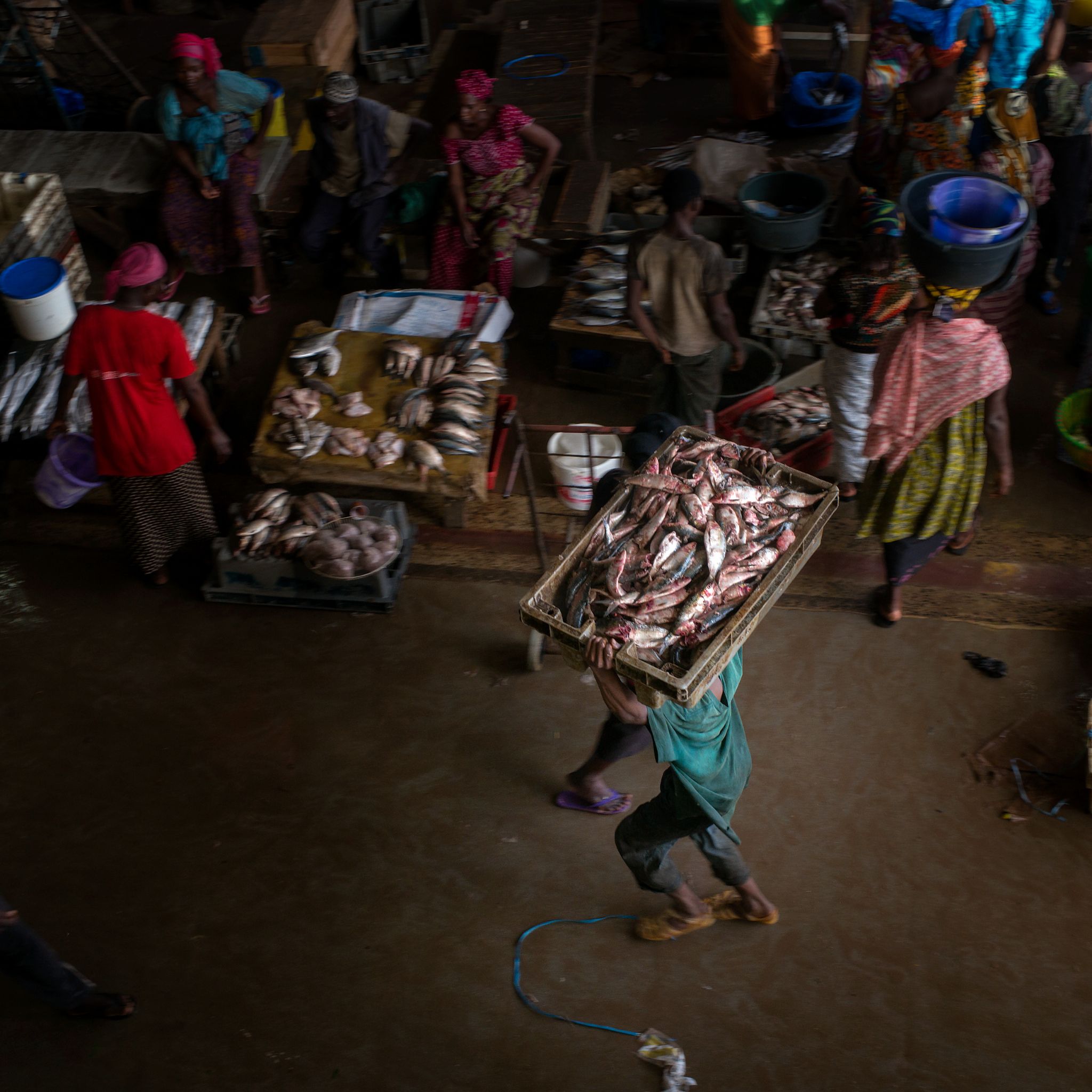 M150821SEN_Fishmarket1001820