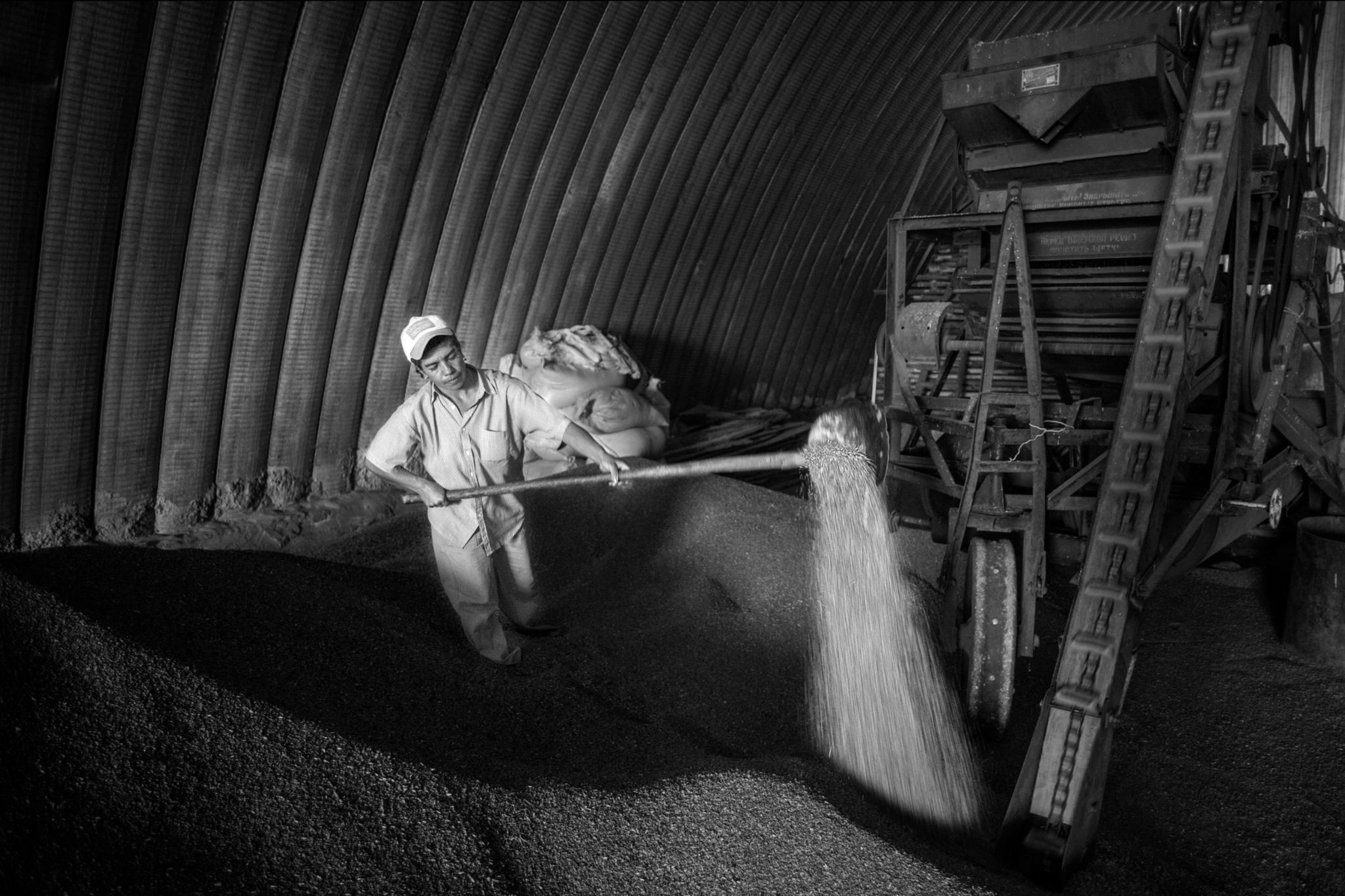 BW M20080822ARM Guymri87604