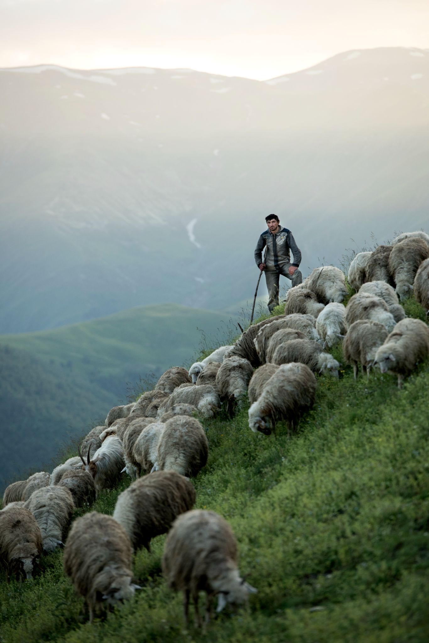 Georgia | Tusheti Parc
