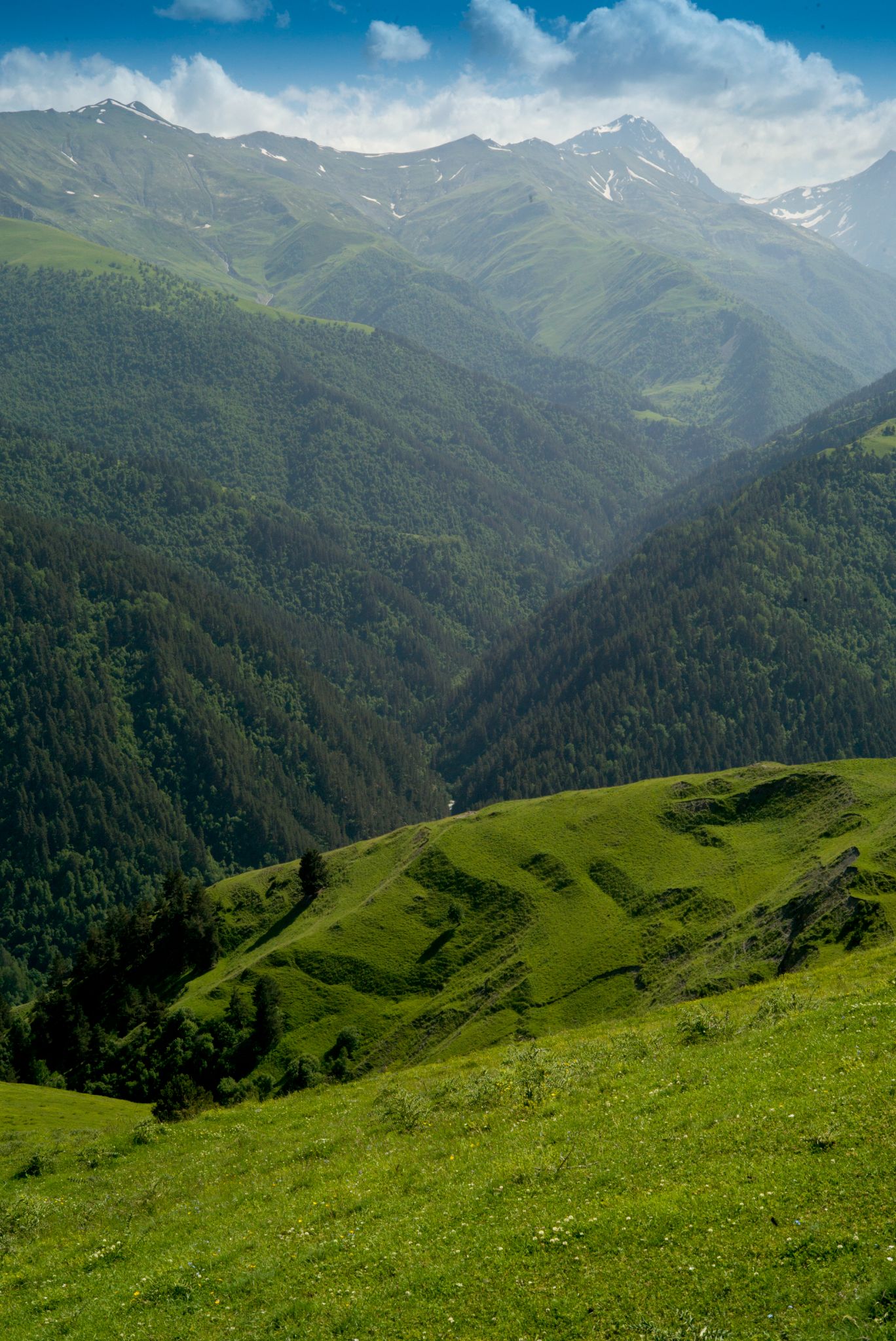 Georgia | Tusheti Parc