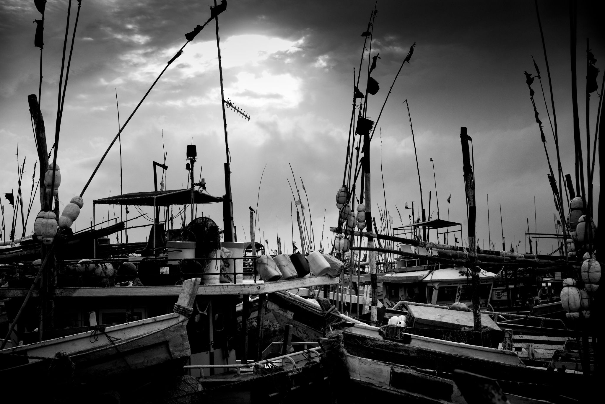 M20160621LK_DondraFish1001313