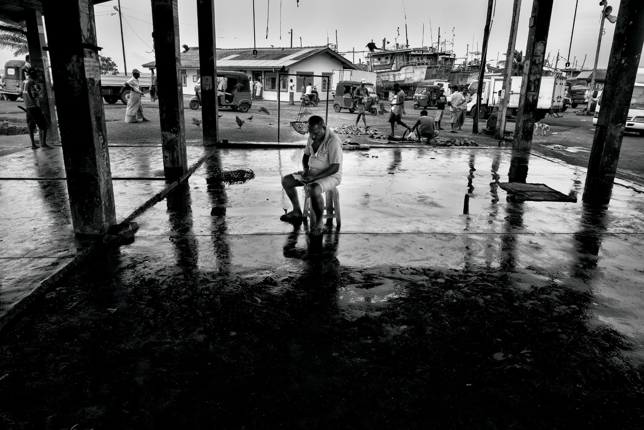 M20160621LK_DondraFish1002999