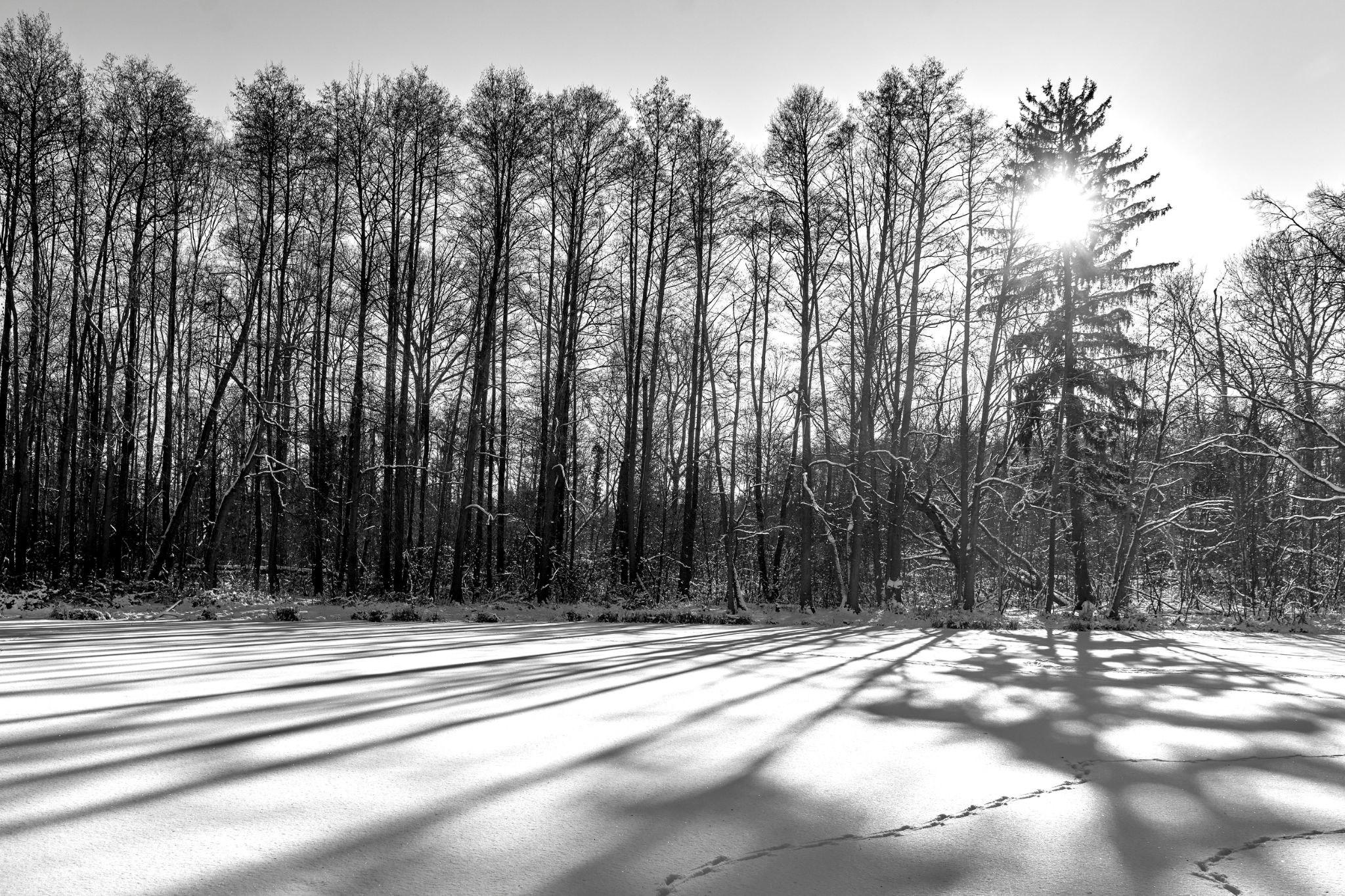 BW_M20260111D_Spreewald_Schwimmbad1020945