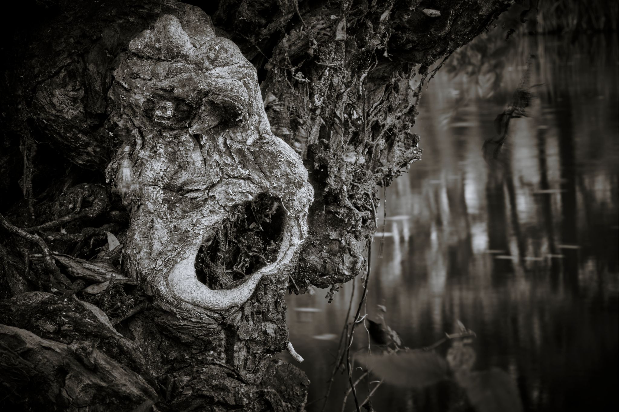 M20251024D_Spreewald_Monster1000796