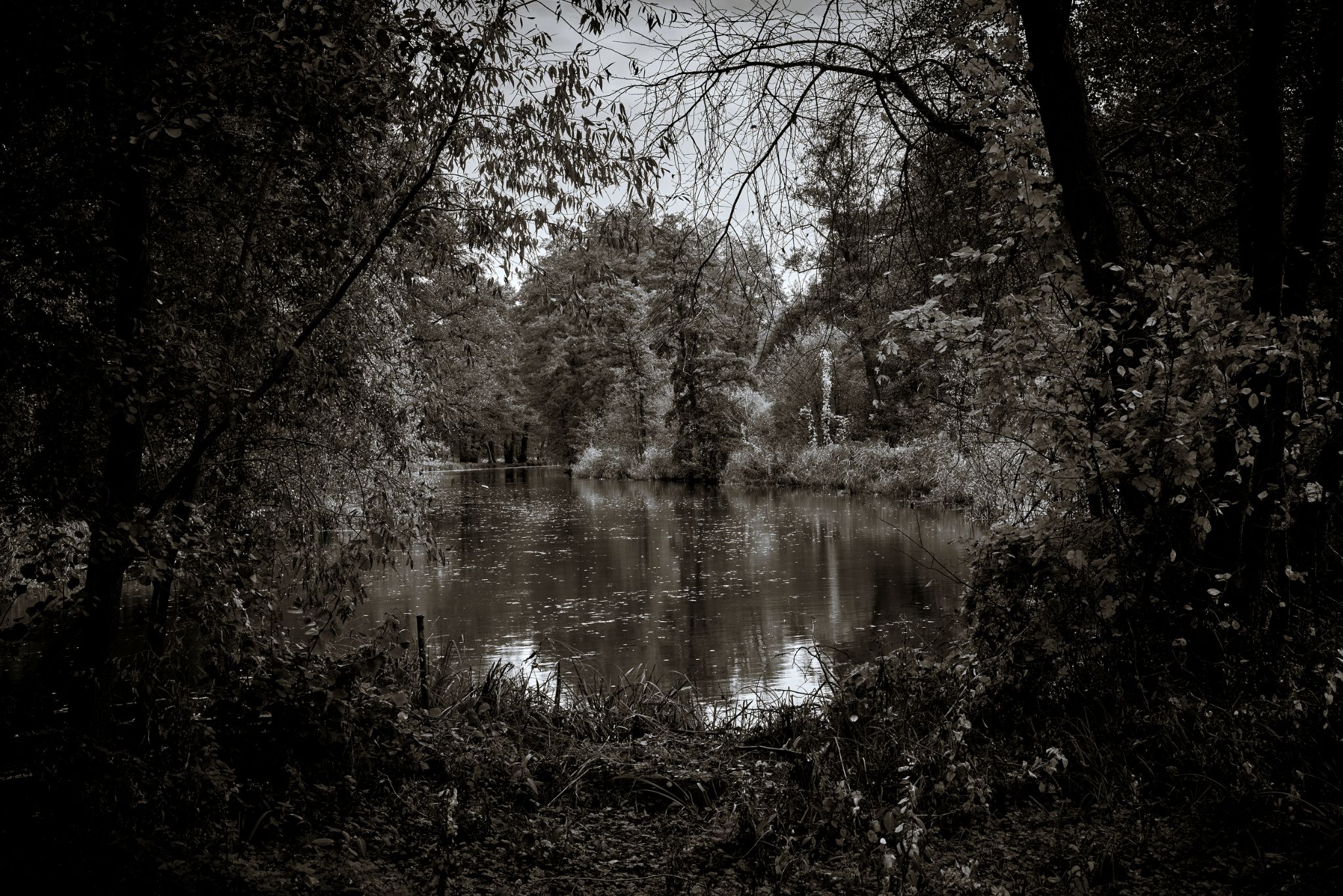 M20251024D_Spreewald_Südumfluter1000757