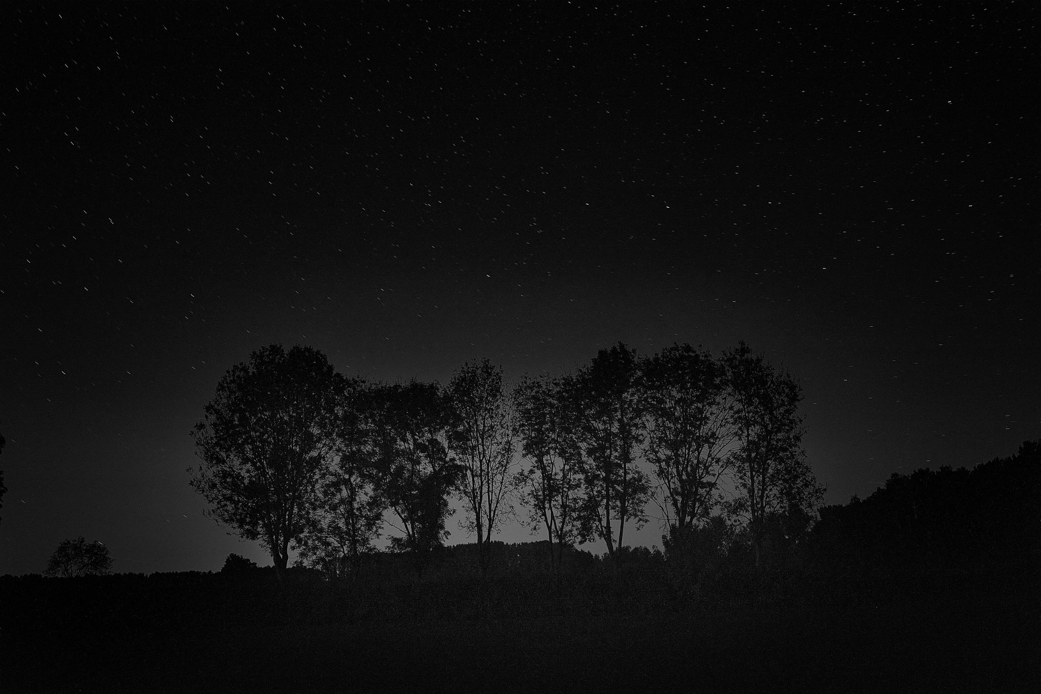 BW_M20241011D_SpreewaldSterne1940008