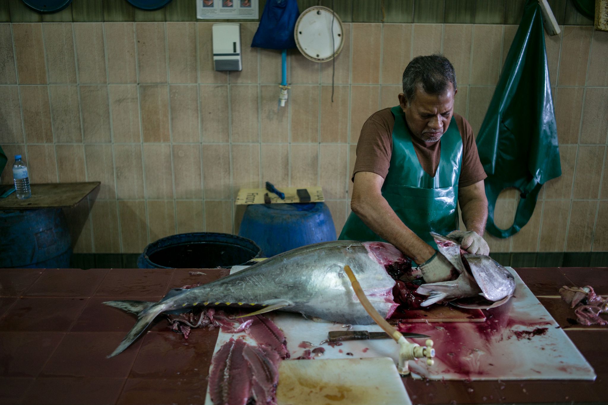 M150119MV_Male1009916