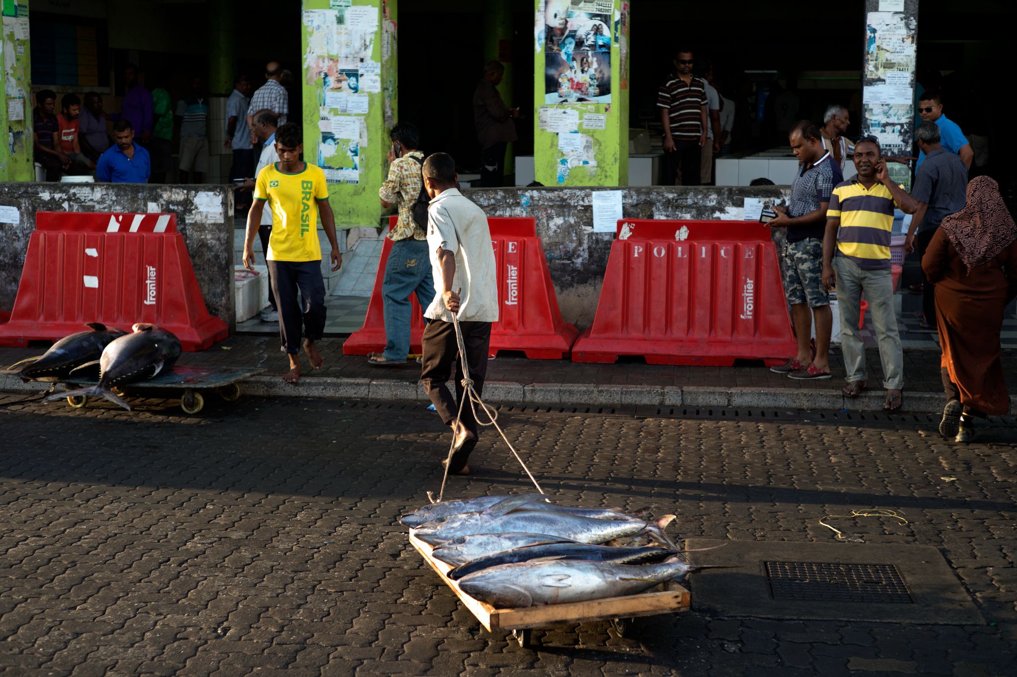 M150129MV_Male1009567