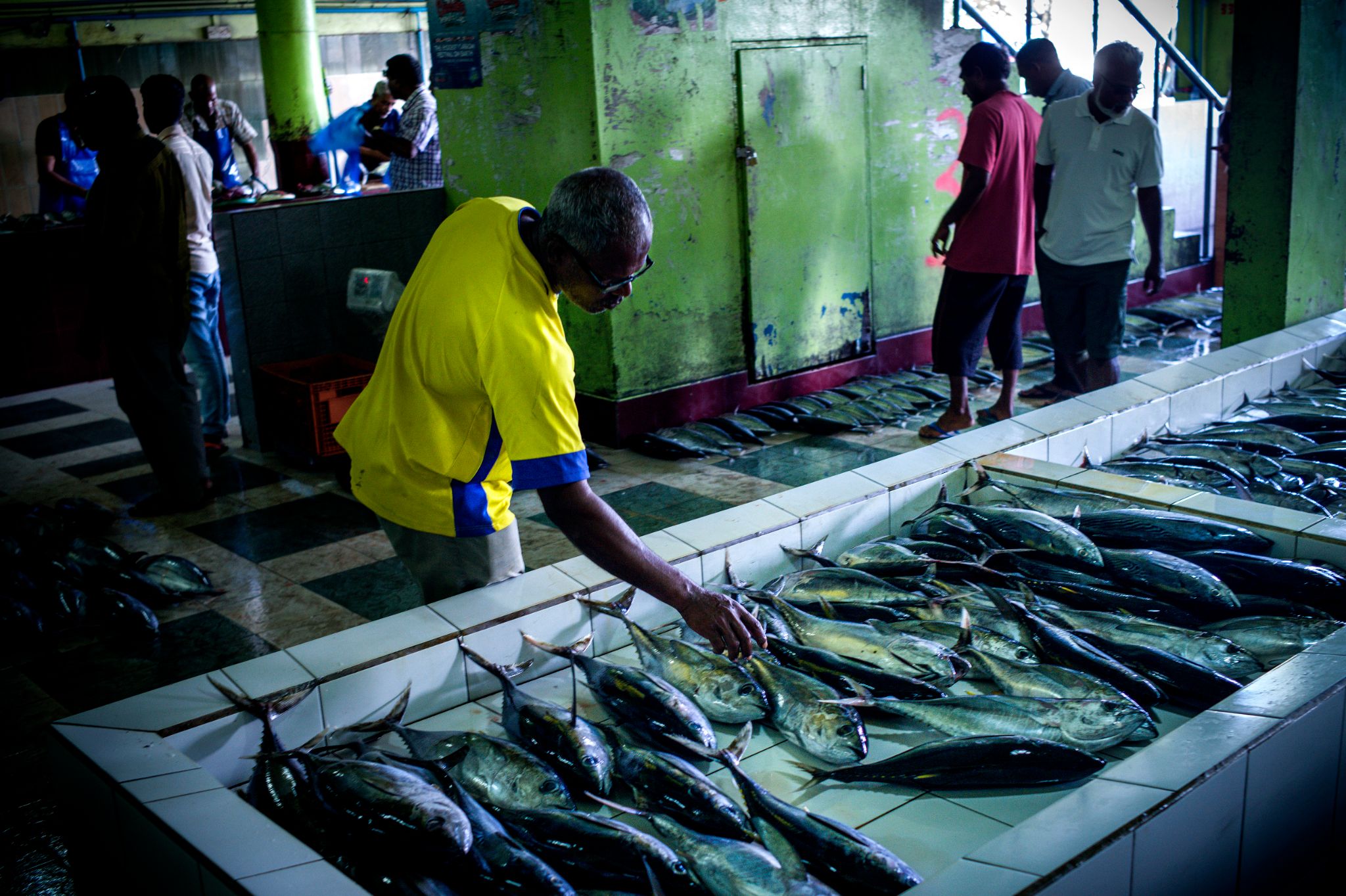 M150229MV_Male1000250A