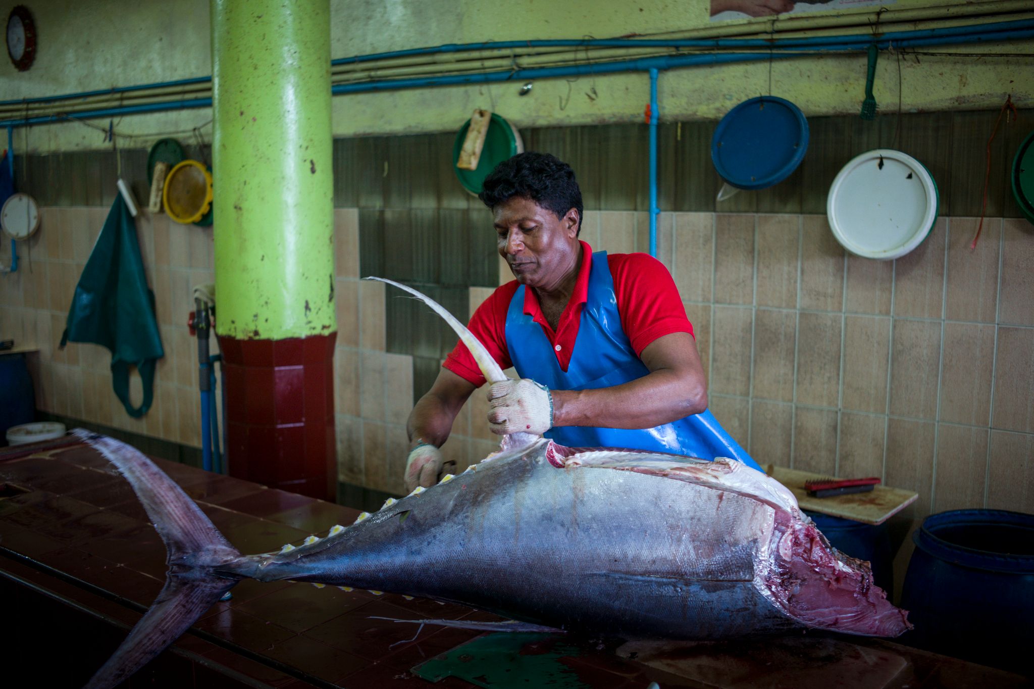 M150229MV_Male1009727