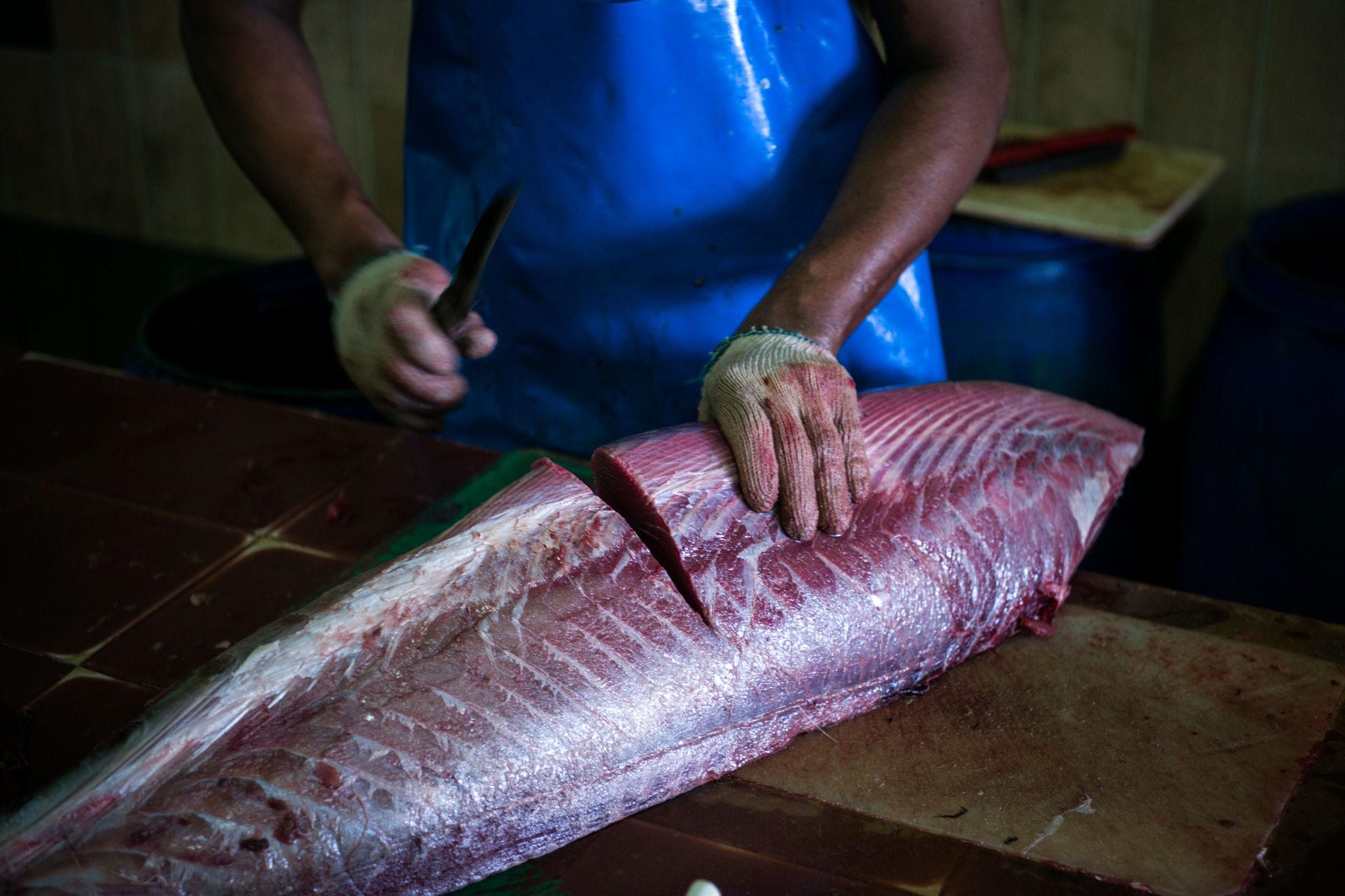 M150229MV_Male1009817